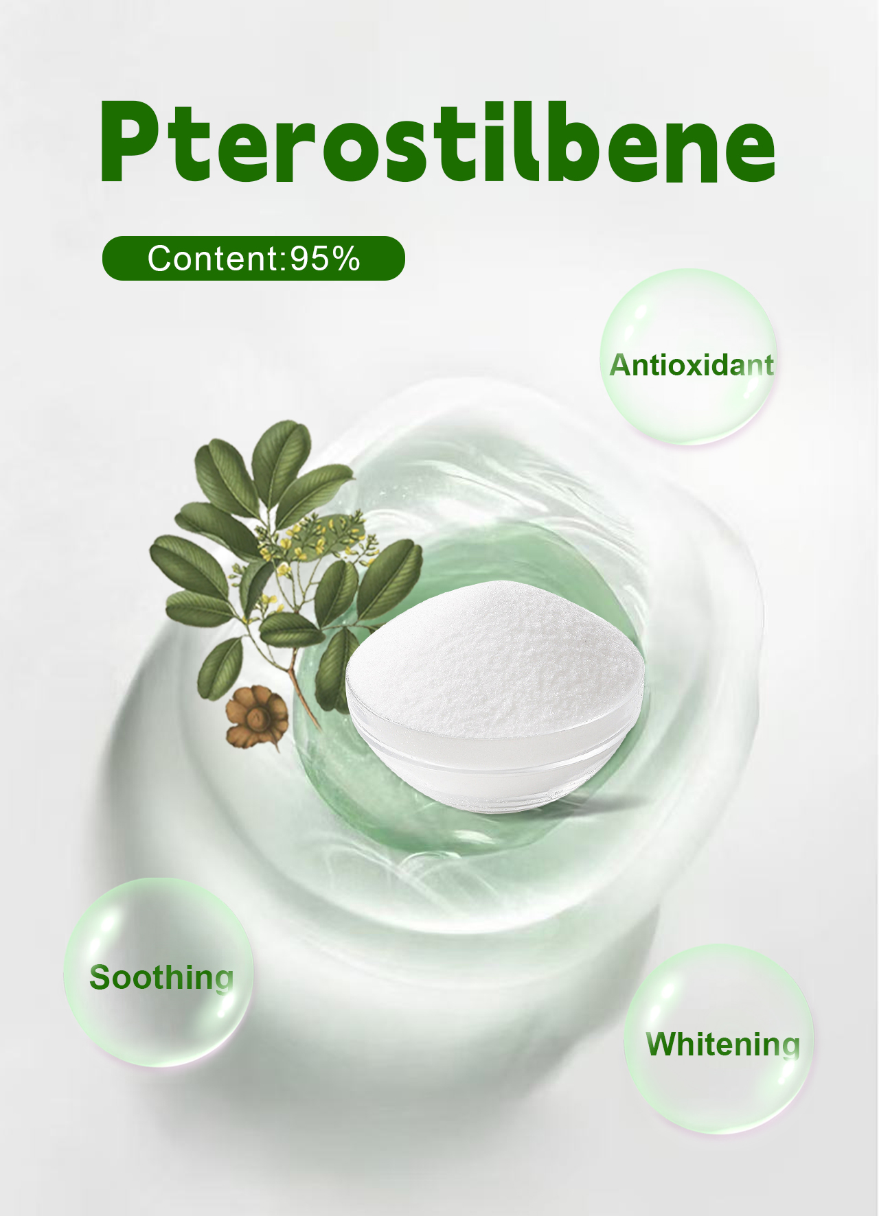 Pterostilbene Raw Material Supplier