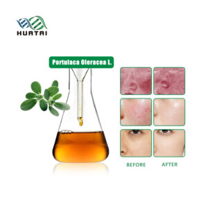 Portulaca Oleracea Extract