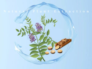 Dipotassium Glycyrrhizate Supplier