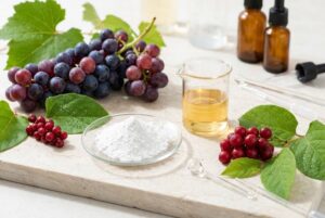 Resveratrol Powder Manufacturer